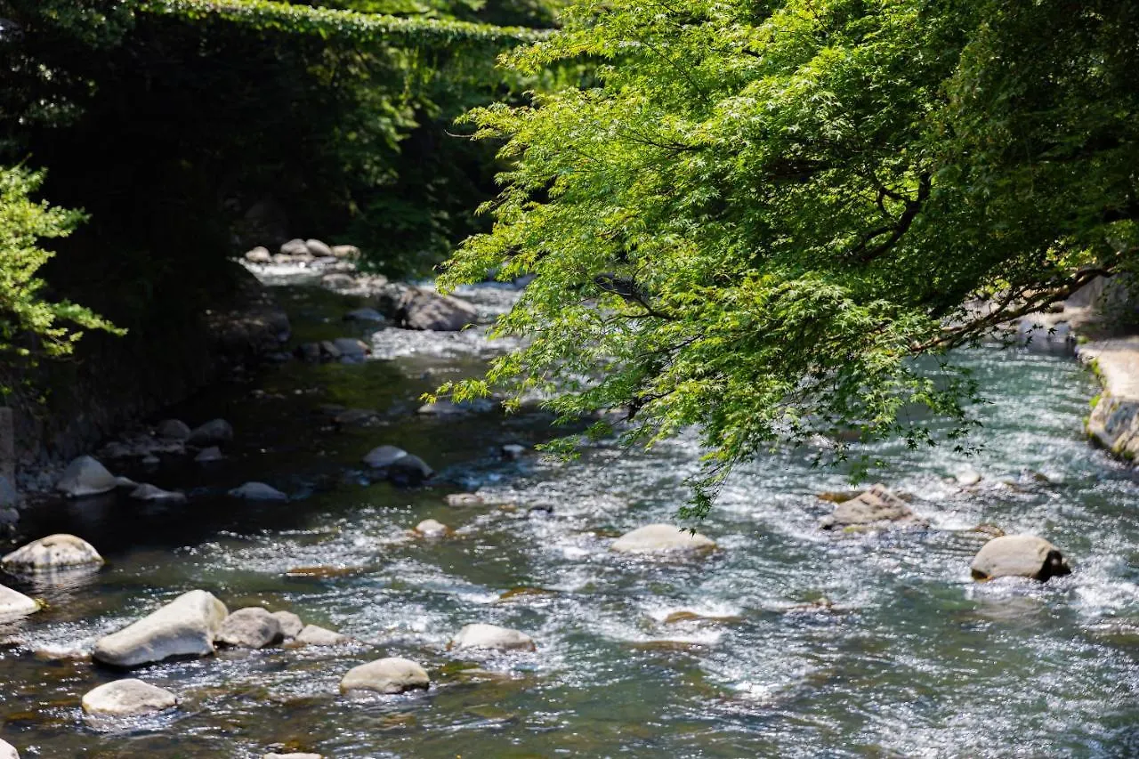 Ichinoyu Honkan Hakone Ryokan